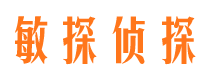 三山市侦探公司